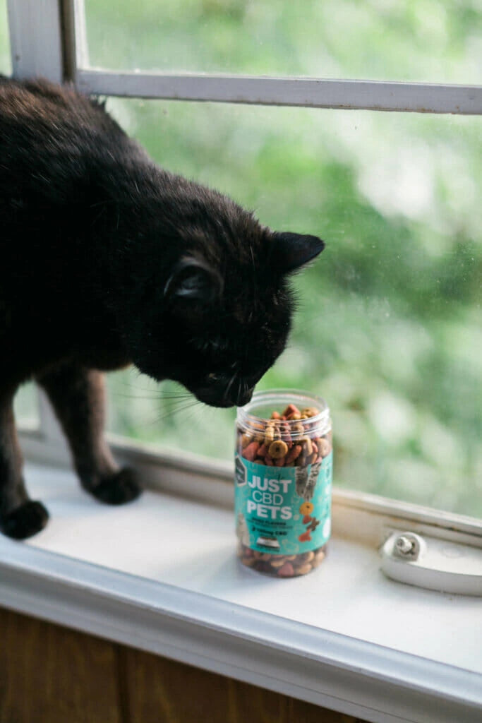 Just CBD Cat Treats