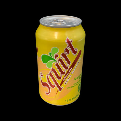Soda Stash can